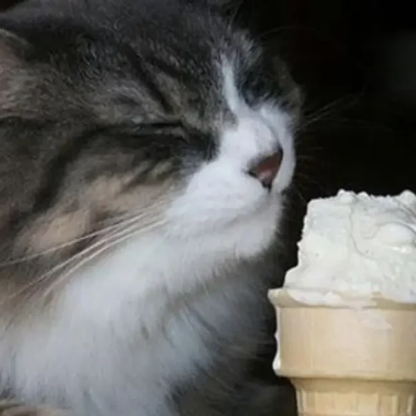 Can Cats Eat Vanilla Ice Cream? Unveiling the Sweet Truth!