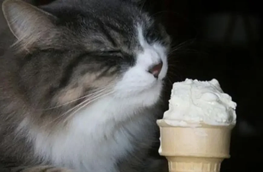 Can Cats Eat Vanilla Ice Cream? Unveiling the Sweet Truth!